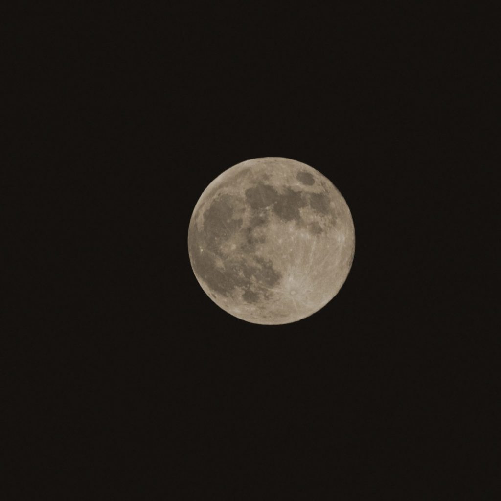 Photo de la Lune fleurie (Flower Moon)